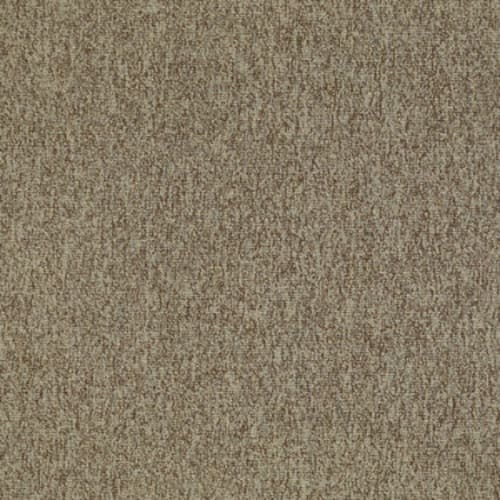 New Trade in Plethora Carpet