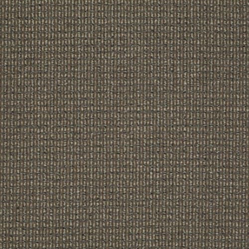 On The Move in That's The Idea Carpet