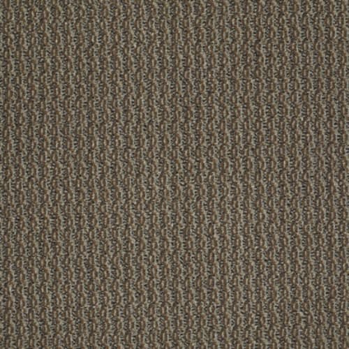 On Target in That's The Idea Carpet