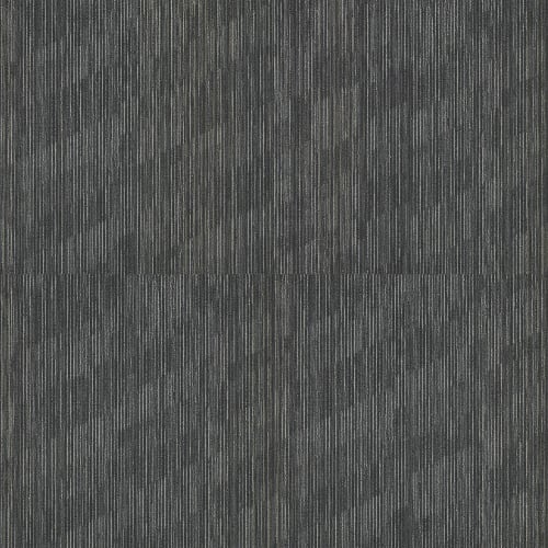 STEADY in Axel Carpet