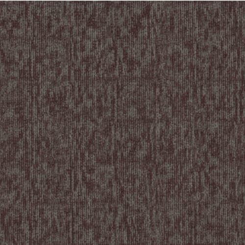 ELEMENTAL in Central Carpet
