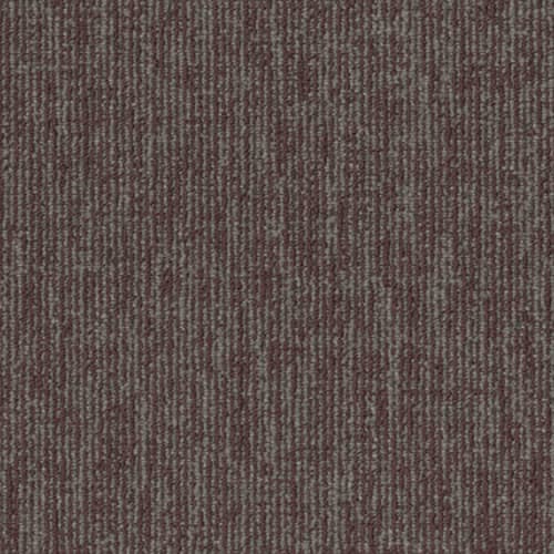 ENGRAIN in Central Carpet