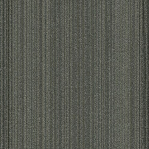 PRACTICAL in Systematic Carpet