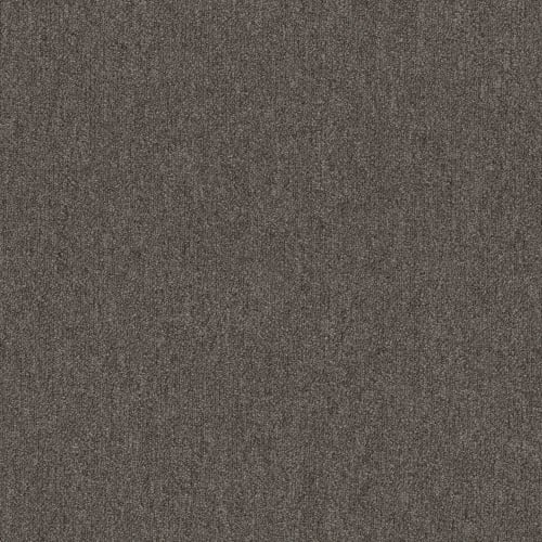 PROFUSION 20 in Piles Carpet