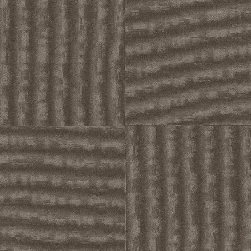 FORMA in Alliance Carpet