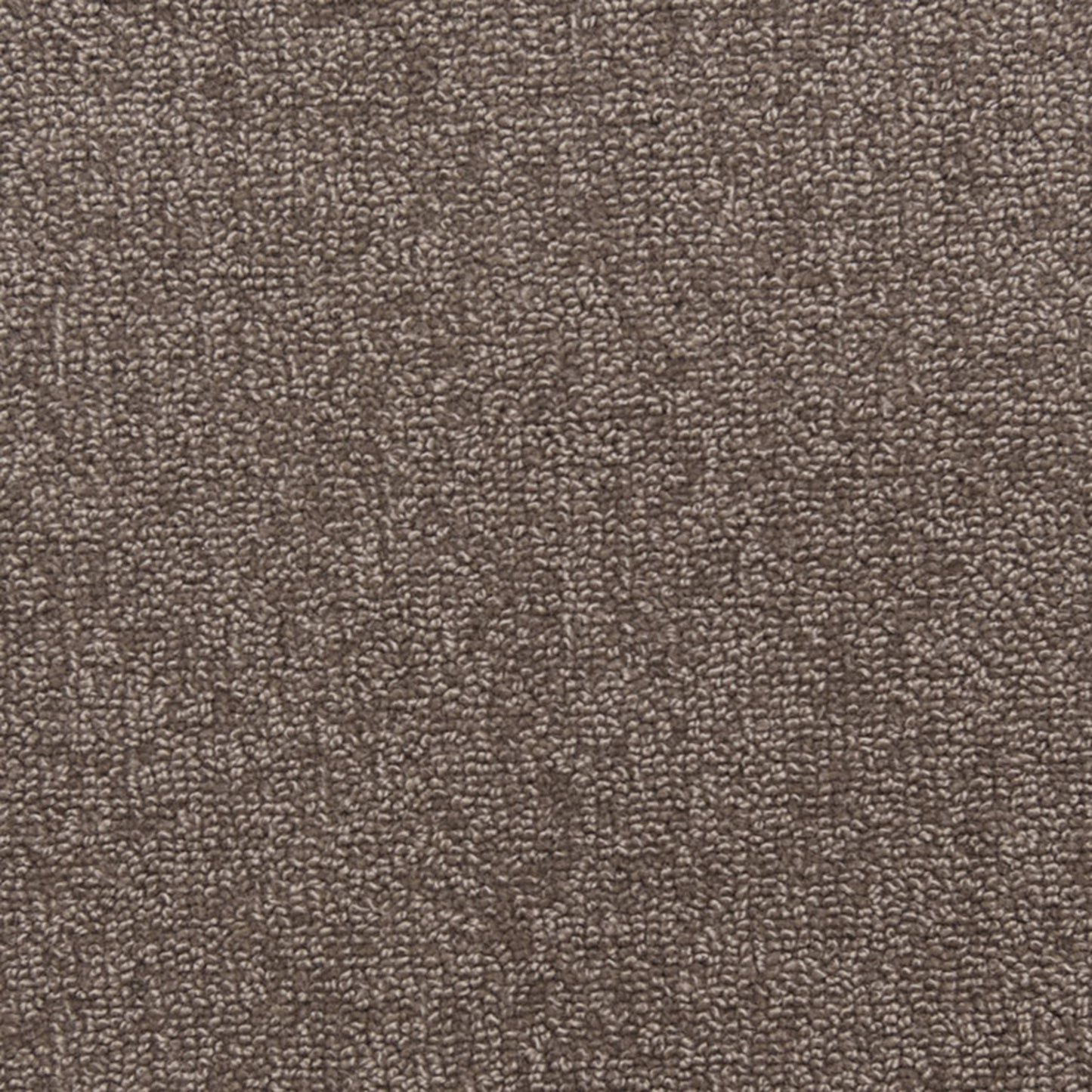 Pure in Chic Carpet