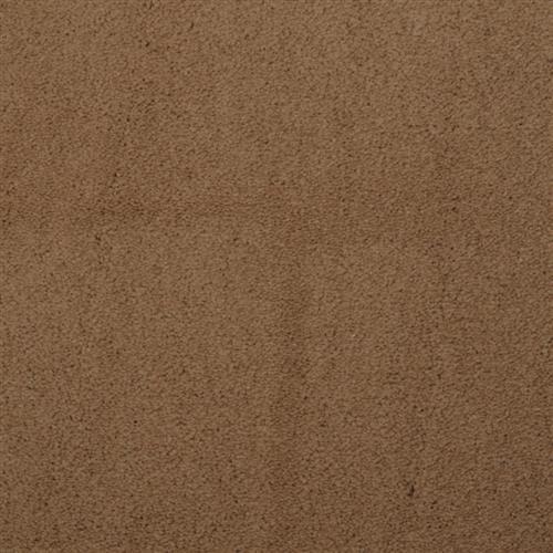 Touch Of Velvet in Wild Honey Carpet
