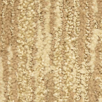 Envy in Mode Carpet
