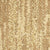 Envy in Mode Carpet