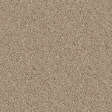 Edgemore in Carpet Flooring