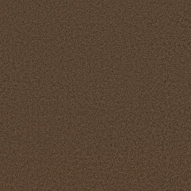 Luxury Bay IIi In Carpet Flooring