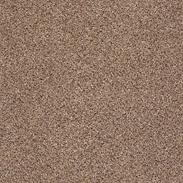 Take The Floor Accent II