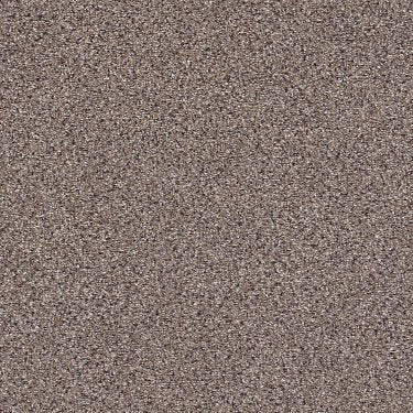 Take The Floor Accent II