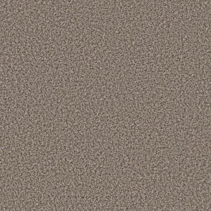 BREAK AWAY (B) in Sweet Taupe Carpet