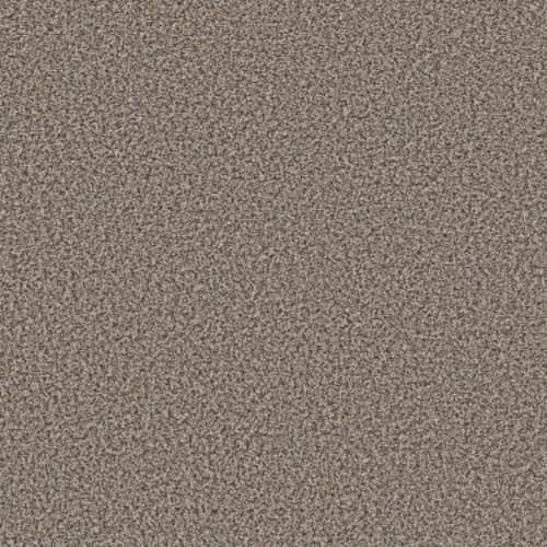 BREAK AWAY (B) in Sweet Taupe Carpet