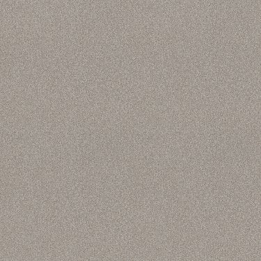 Harmonious Ii in Carpet Flooring