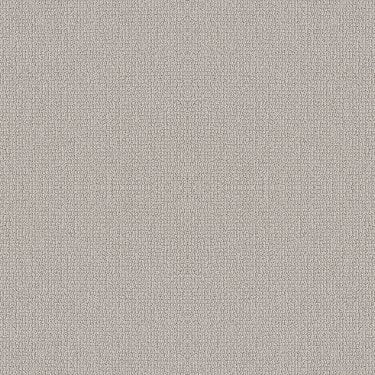 Embellished in Carpet Flooring