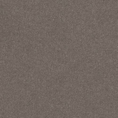 SMOOTH TALK I in Urban Taupe Carpet
