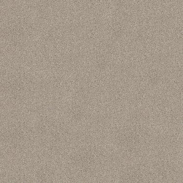 Sweet Inspiration I In Carpet Flooring