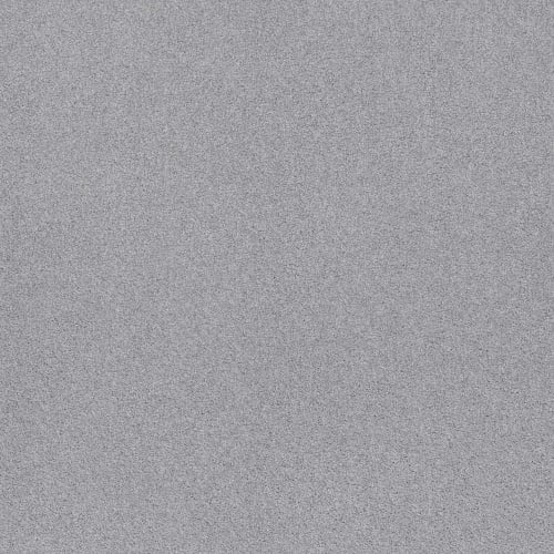 SWEET INSPIRATION I in Silver Strand Carpet