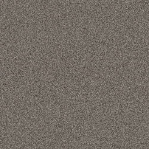 SWEET INSPIRATION II in Weathered Siding Carpet