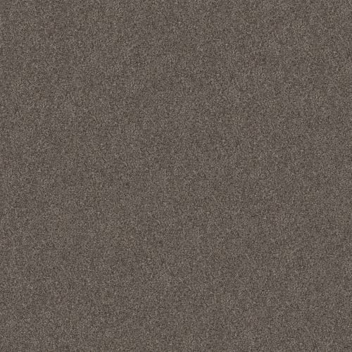 LIVE ON COMFORT in Woodcliff Brown Carpet