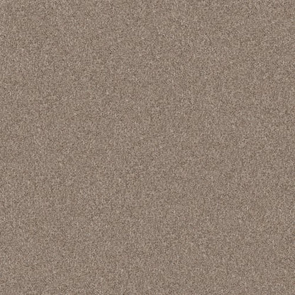 YES YOU CAN II 12' in Subtle Clay Carpet