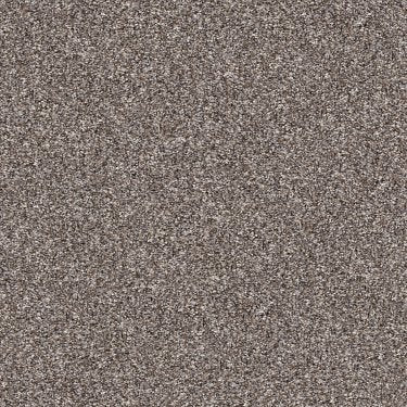 Yes You Can IIi 12' In Carpet Flooring