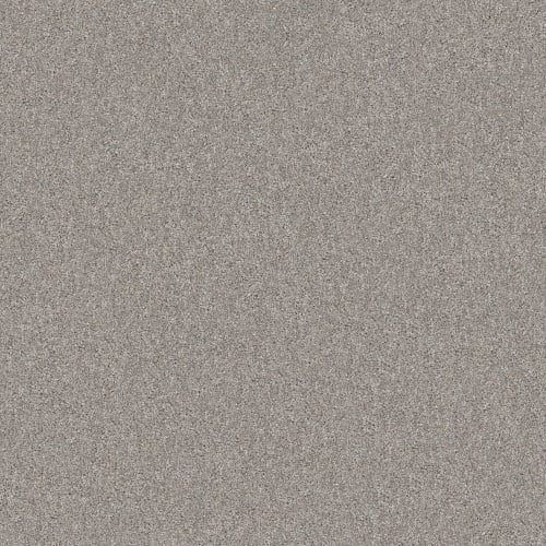 YES YOU CAN III 12' in Rock Crystal Carpet
