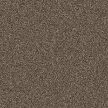 YES YOU CAN I 15' in Mission Ridge Carpet