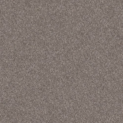 YES YOU CAN III 15' in Alaskan Air Carpet