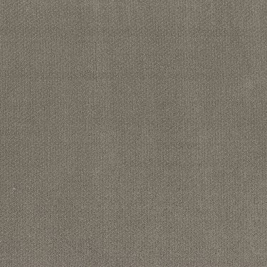 Simply Classic in Carpet Flooring