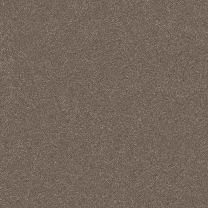 HARD AT PLAY II 15' in Cobblestone Carpet