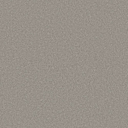 TruSolutions II in Concrete Carpet
