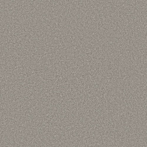 TruSolutions II in Concrete Carpet