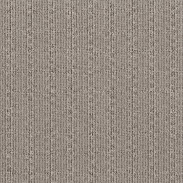 Feisty in Carpet Flooring