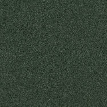 Tonal Comfort II