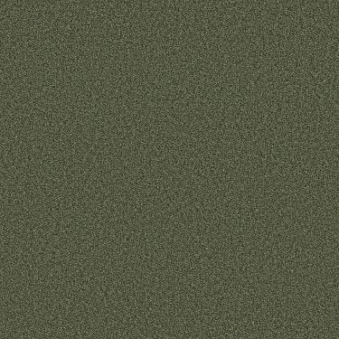 Tonal Comfort II