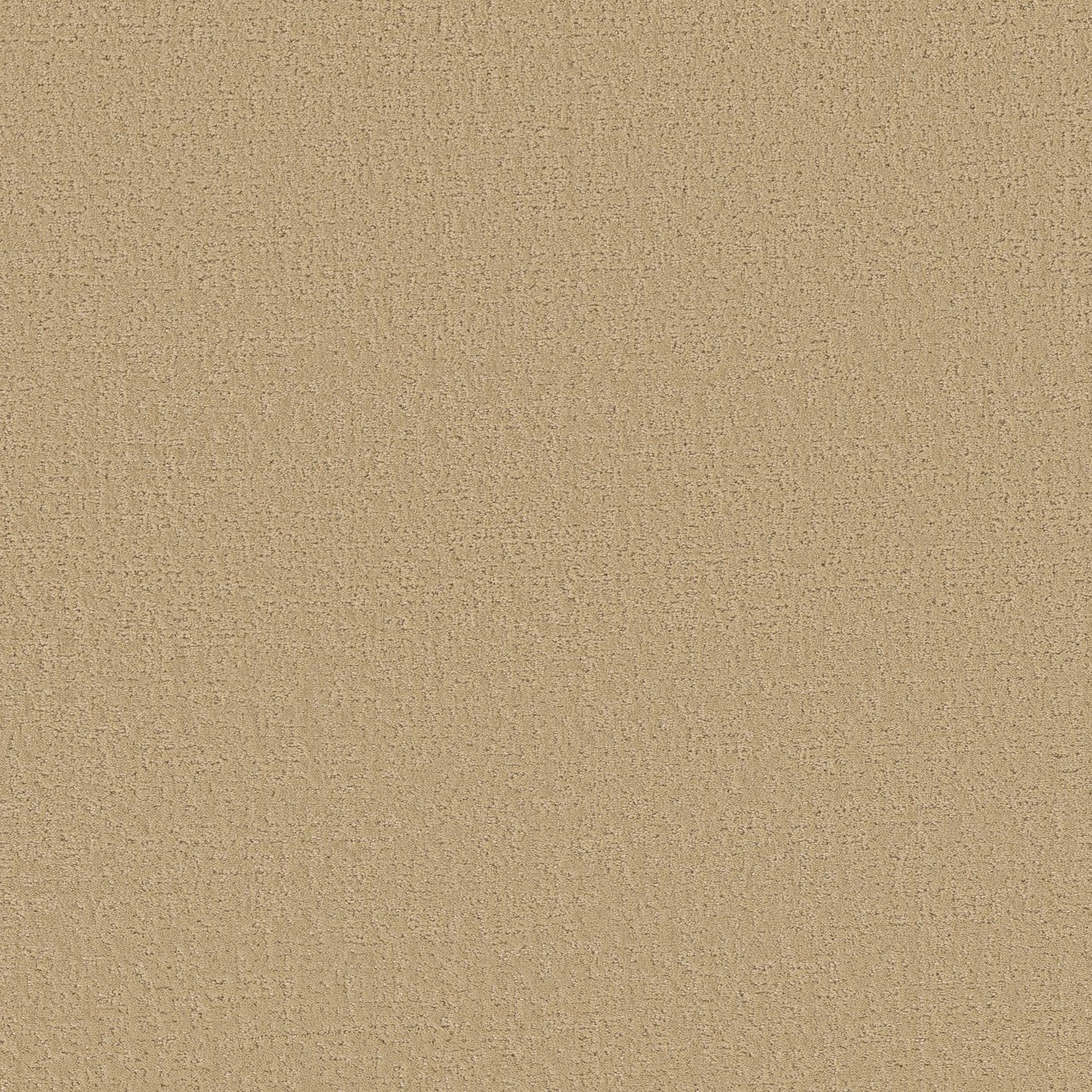 Canvas Comfort