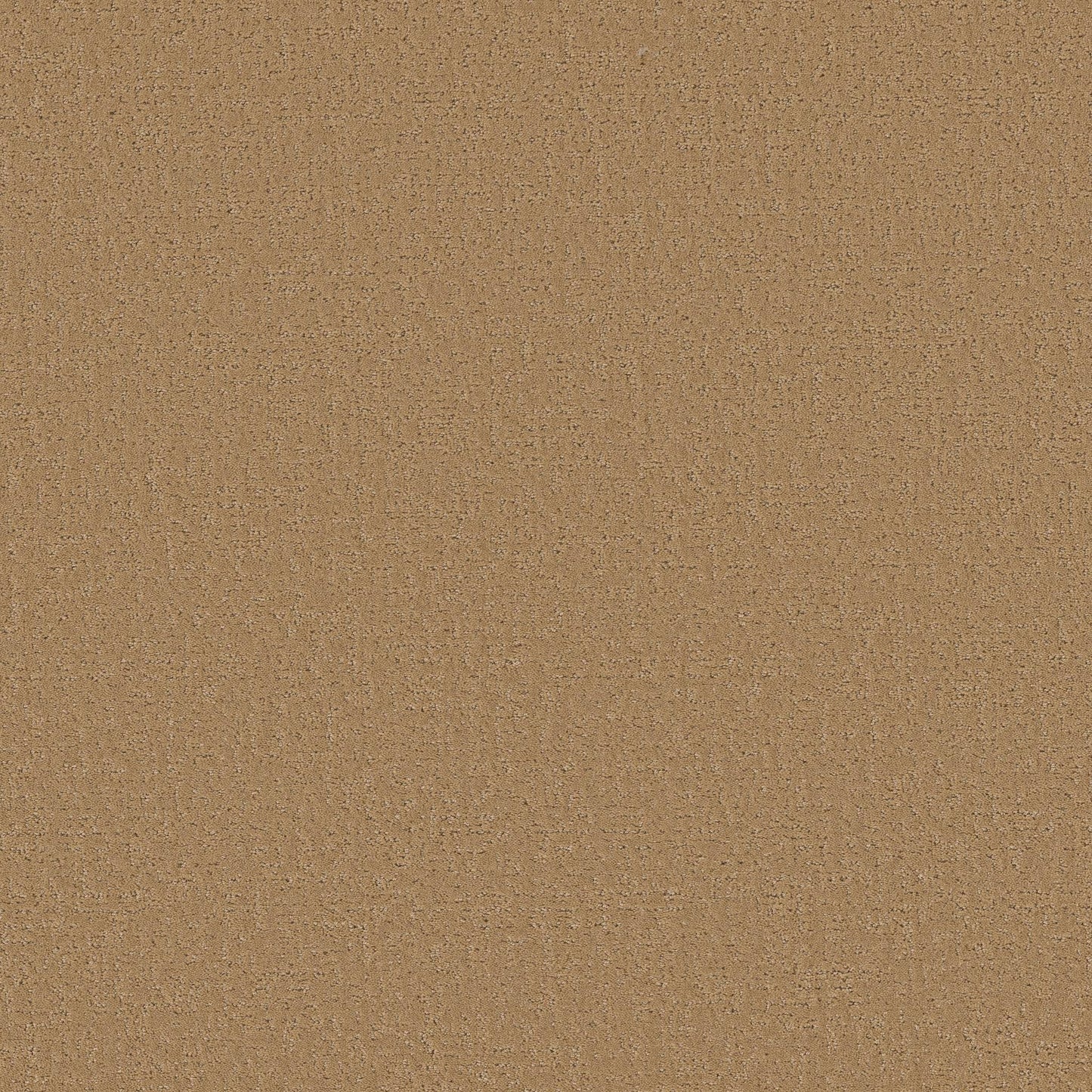 Canvas Comfort
