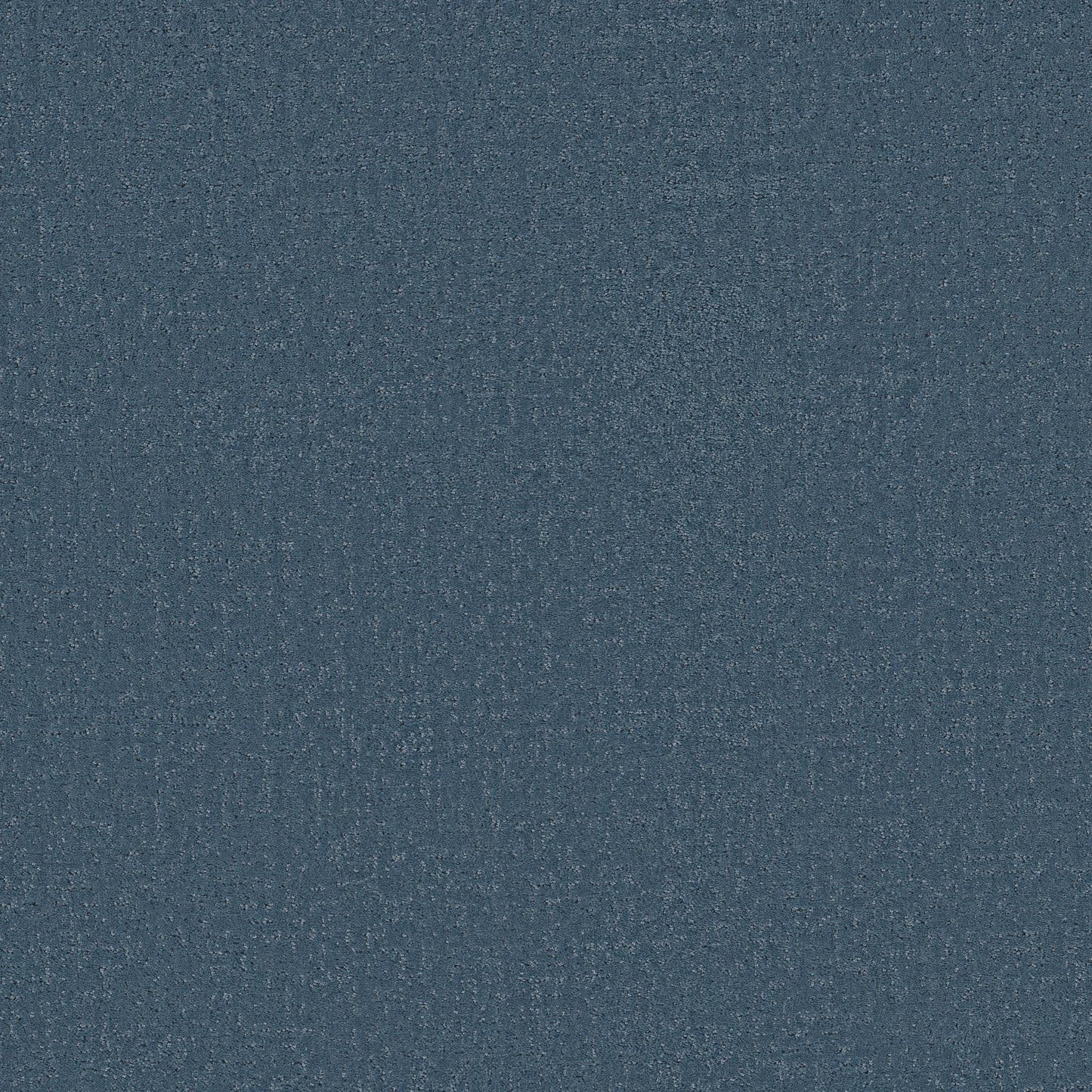 Canvas Comfort