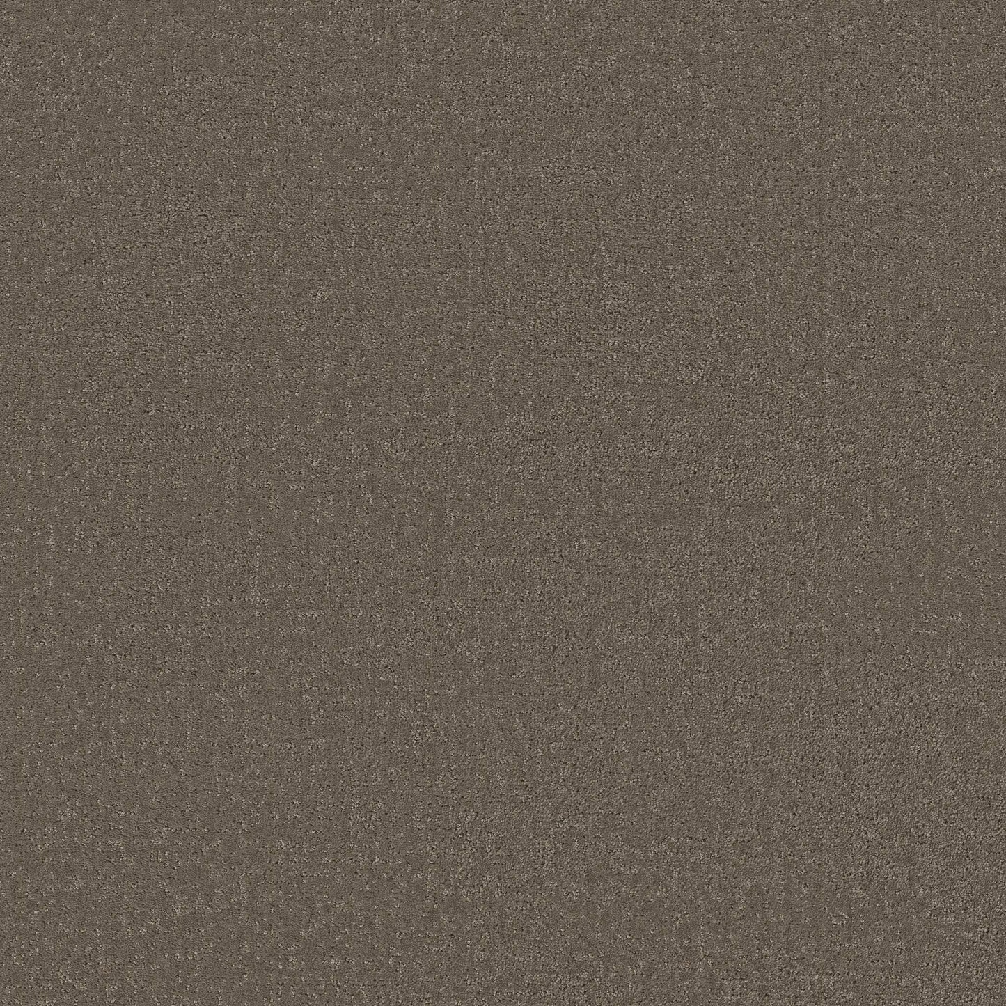 Canvas Comfort
