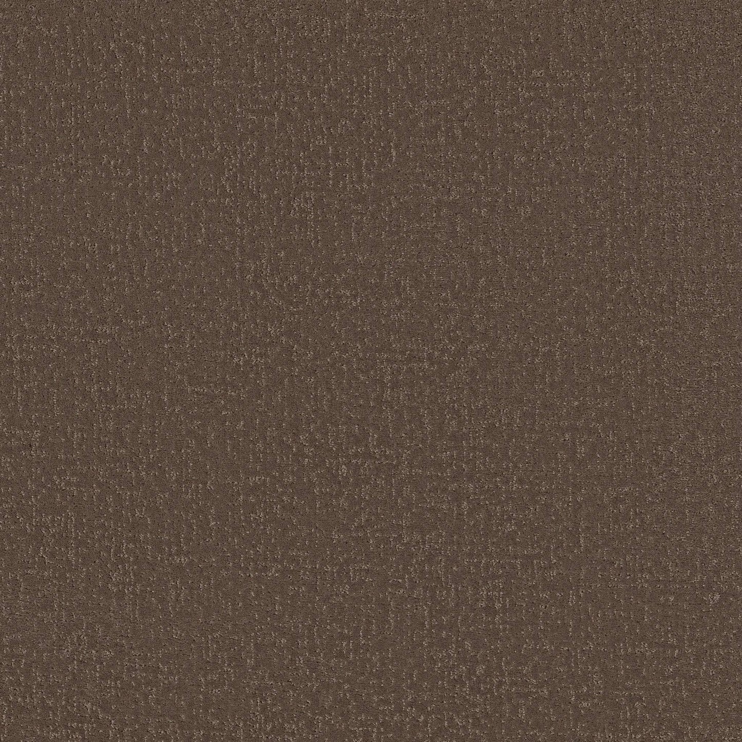 Canvas Comfort
