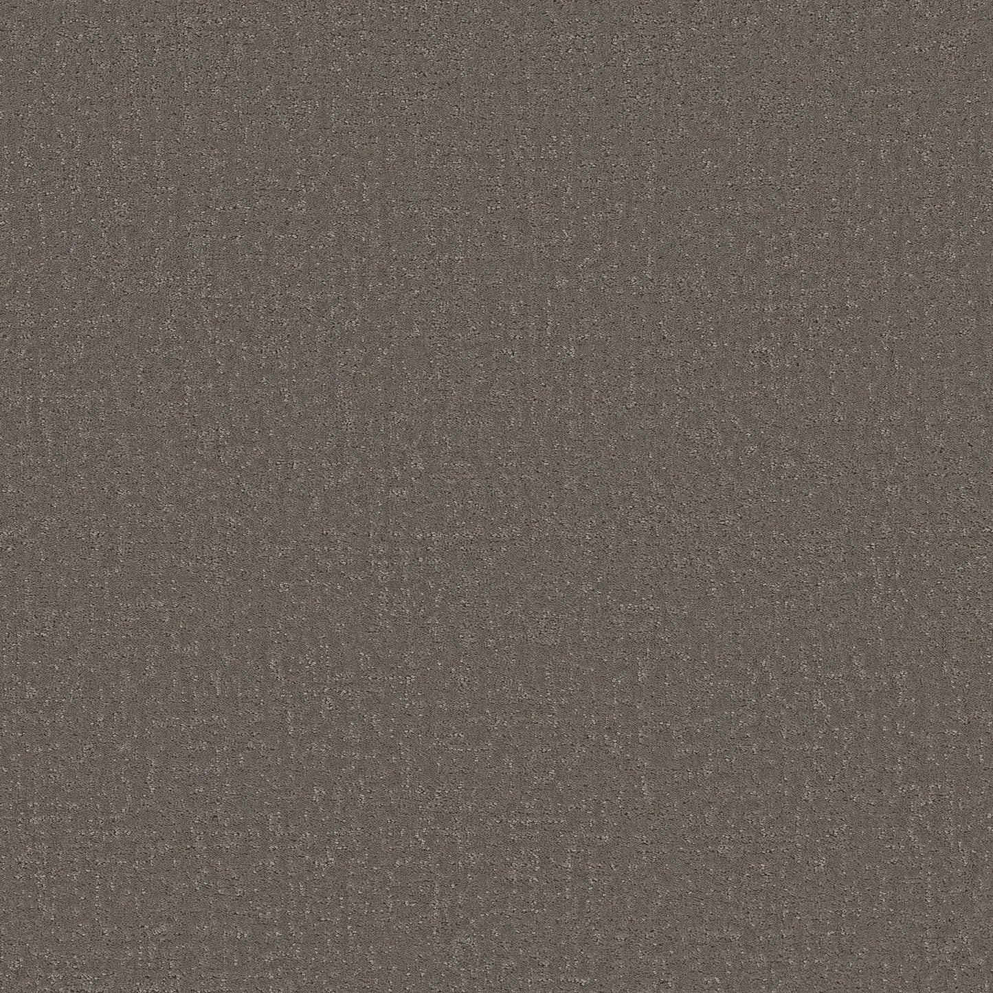 Canvas Comfort