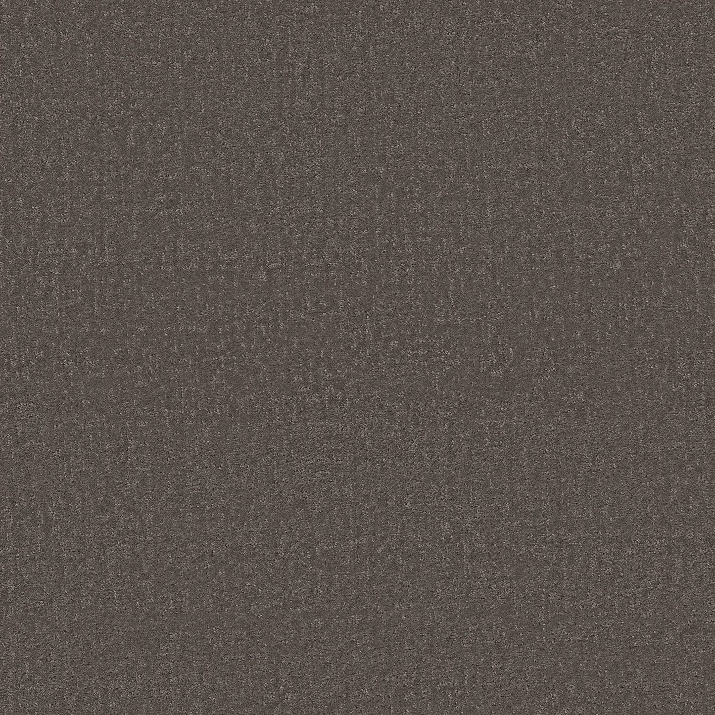 Canvas Comfort