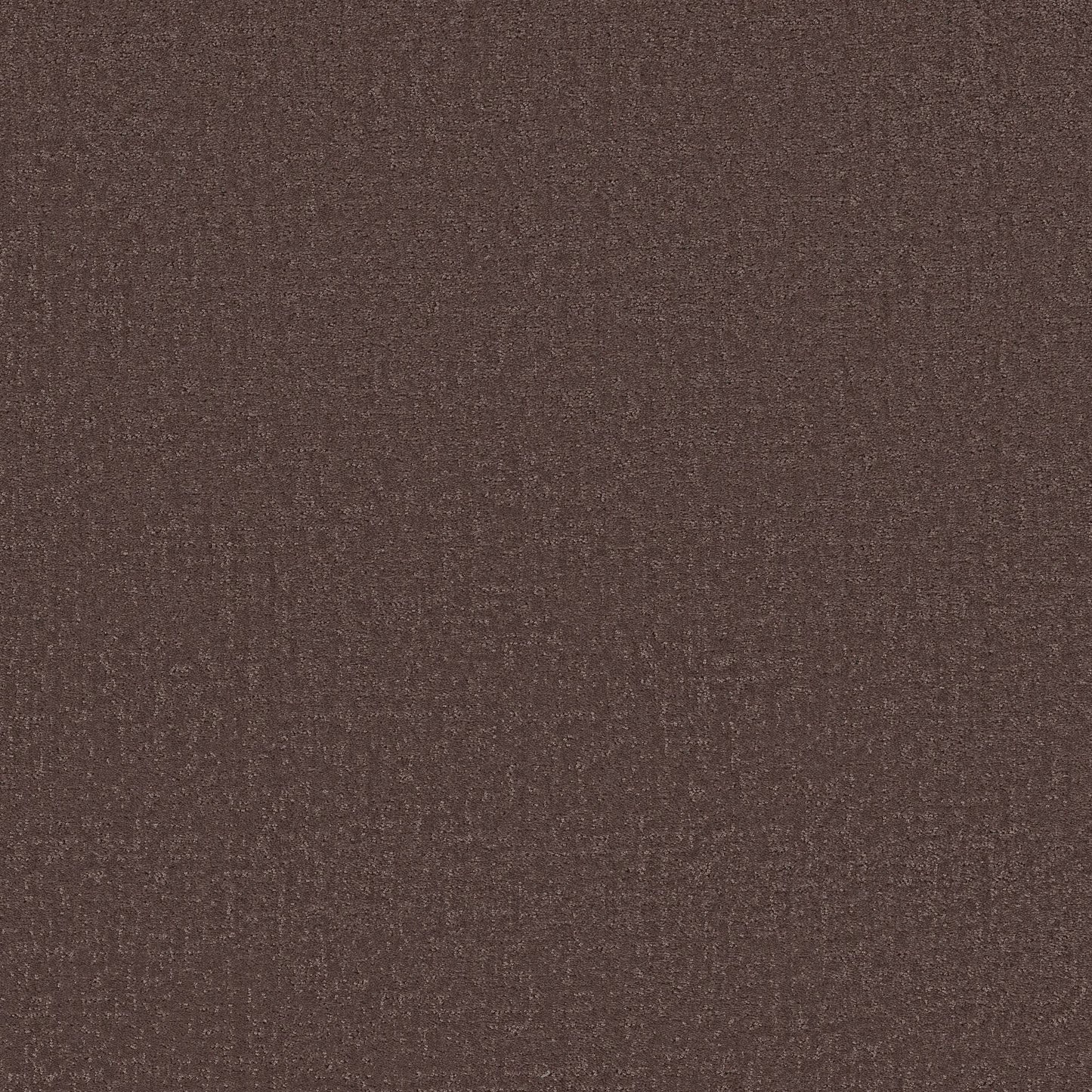Canvas Comfort