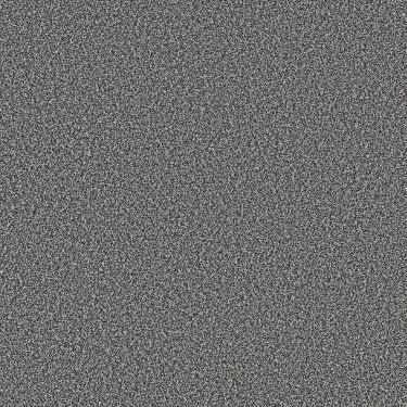 Tweed Comfort II