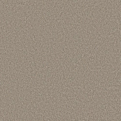 ALWAYS RIGHT I in Buttercream Carpet