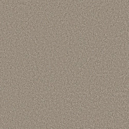 ALWAYS RIGHT I in Buttercream Carpet