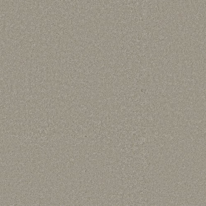 WAY TO GO III in Taupe Tone Carpet